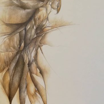 Cours de dessin-Adultes